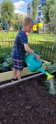 Наш мини - огород принес свои первые плоды!